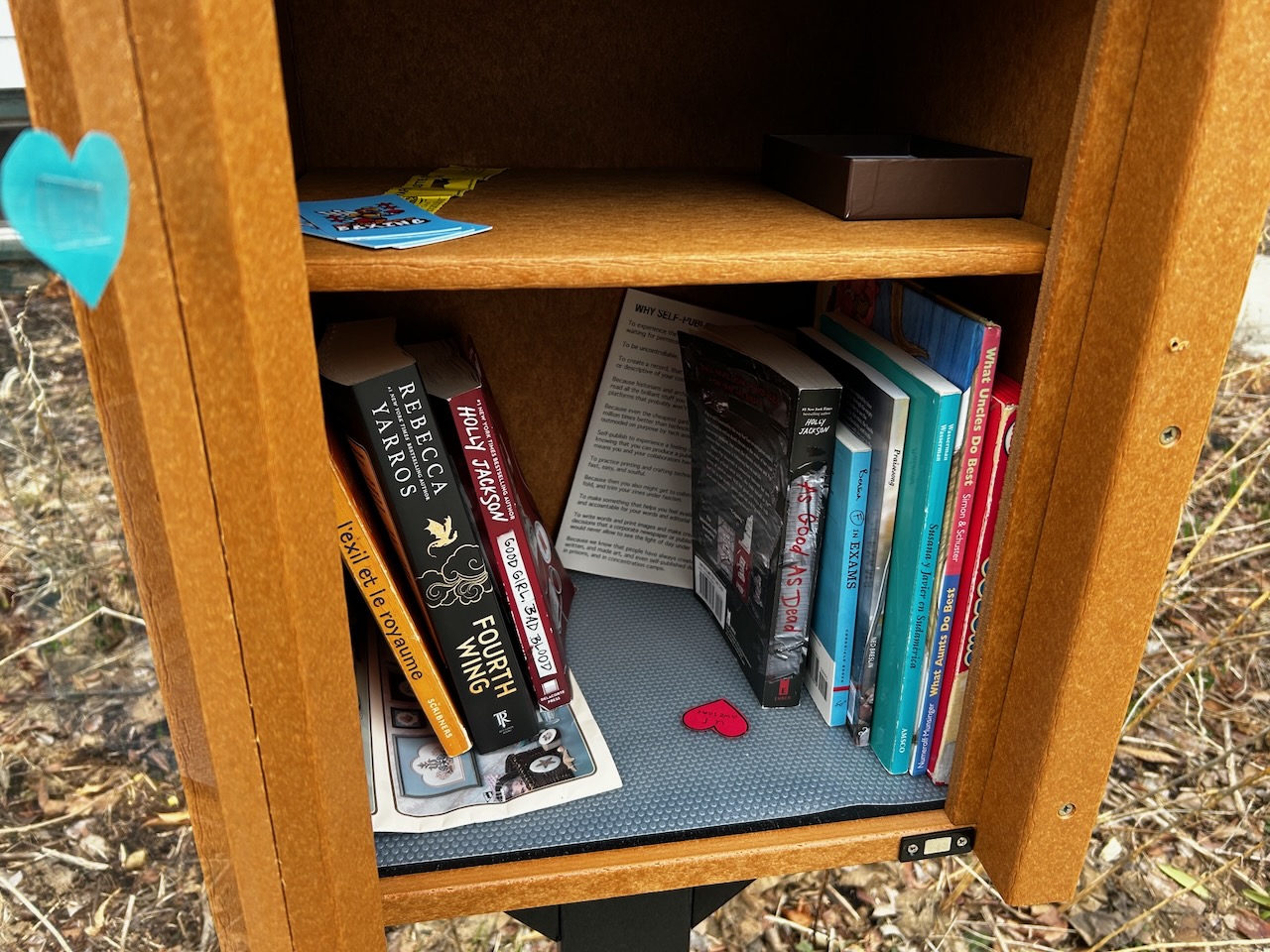 An image of the library with doors open displaying a varity of books on the lower shelf and a smattering of business cards and zines.